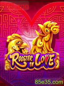 RoosterInLove
